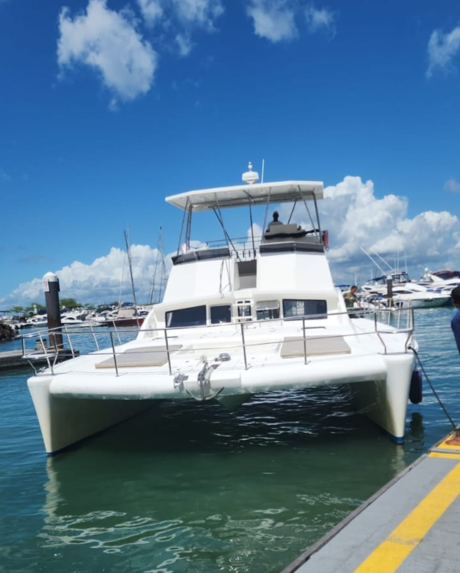 Zig Boat - Catamarã